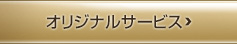 ꥸʥ륵ӥ
